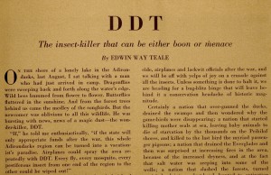 Teale DDT Article Image 1