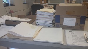 Processing the Bruce Morrison Papers