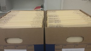 Organizing the Bruce Morrison Papers