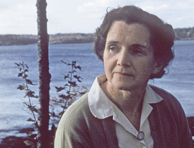 Watch Rachel Carson, American Experience, Official Site