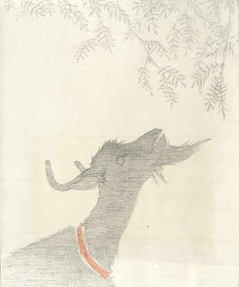 Illustration from the Nonny Hogrogian Papers. Archives & Special Collections, University of Connecticut Library.