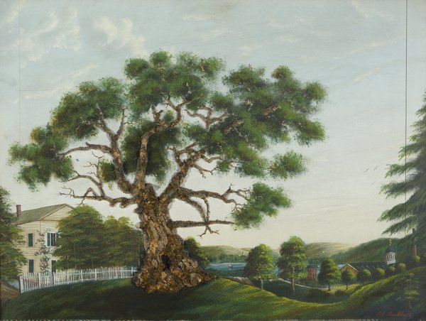 Charter Oak, J.E. Burkhart. The Graphics Collection, The Connecticut Historical Society, Hartford. (1859) Retrieved from the Digital Public Library of America. 
