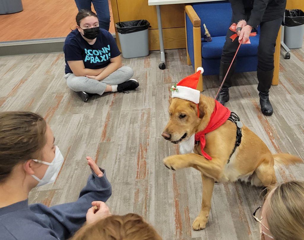 Mica a Golden Retriever mix gives a student a high-five in the Paws to Relax program. Photo courtesy of Kate Fuller.