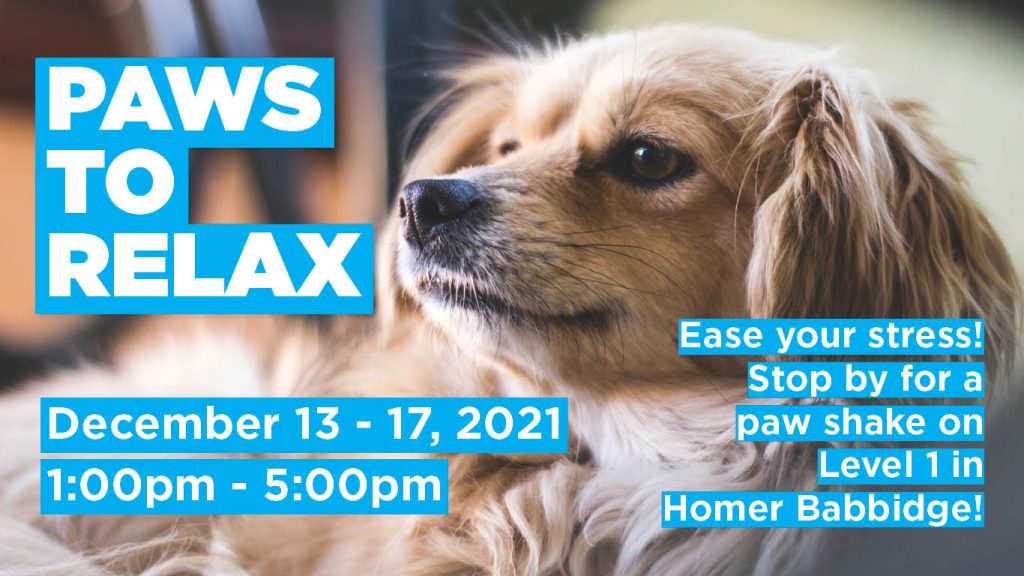 Paws to Relax - December 13-17, 2021, 1pm-5pm. Ease your stress! Stop by for a paw shake on Level 1 in Homer Babbidge!