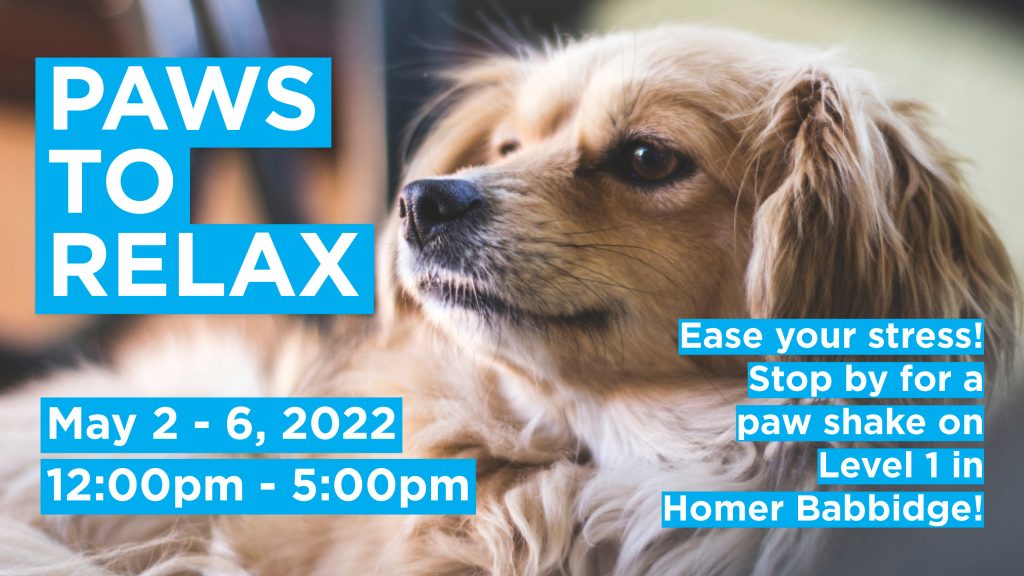Image: Paws to Relax is May 2-6, 2022 from 12-5pm in Homer Babbidge Library, Level 1. Stop by for a paw shake and ease your stress!